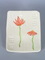 Majolica